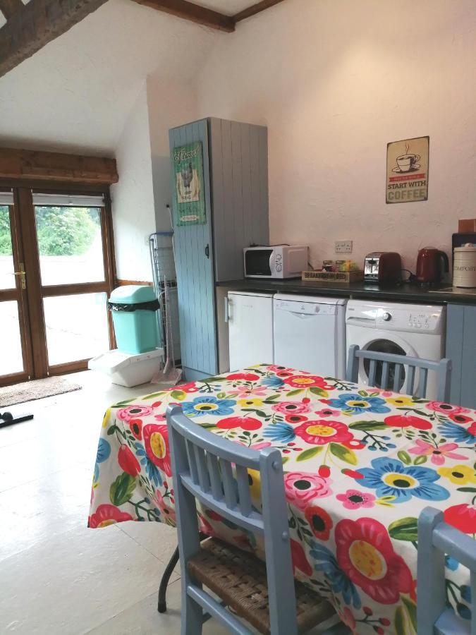 Killarney Saoirse Cottage Exteriör bild
