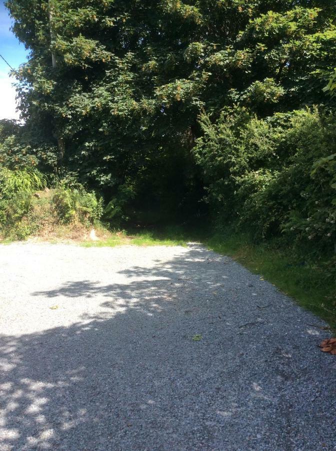 Killarney Saoirse Cottage Exteriör bild