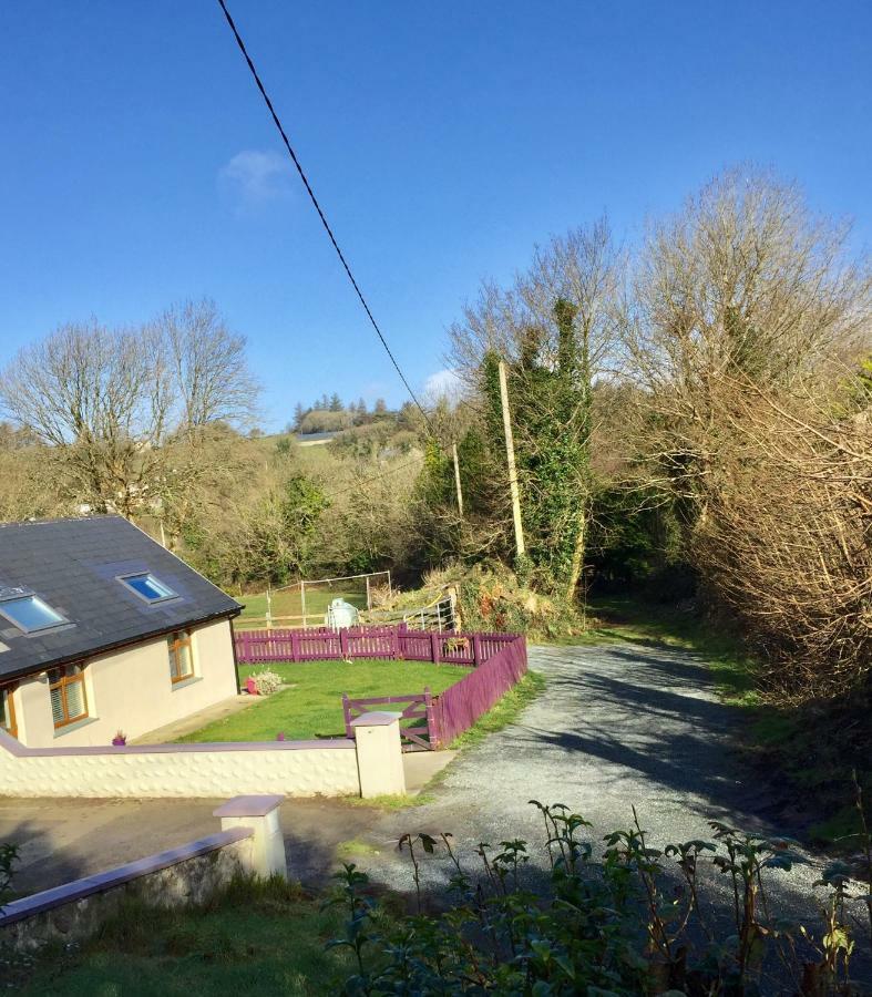 Killarney Saoirse Cottage Exteriör bild